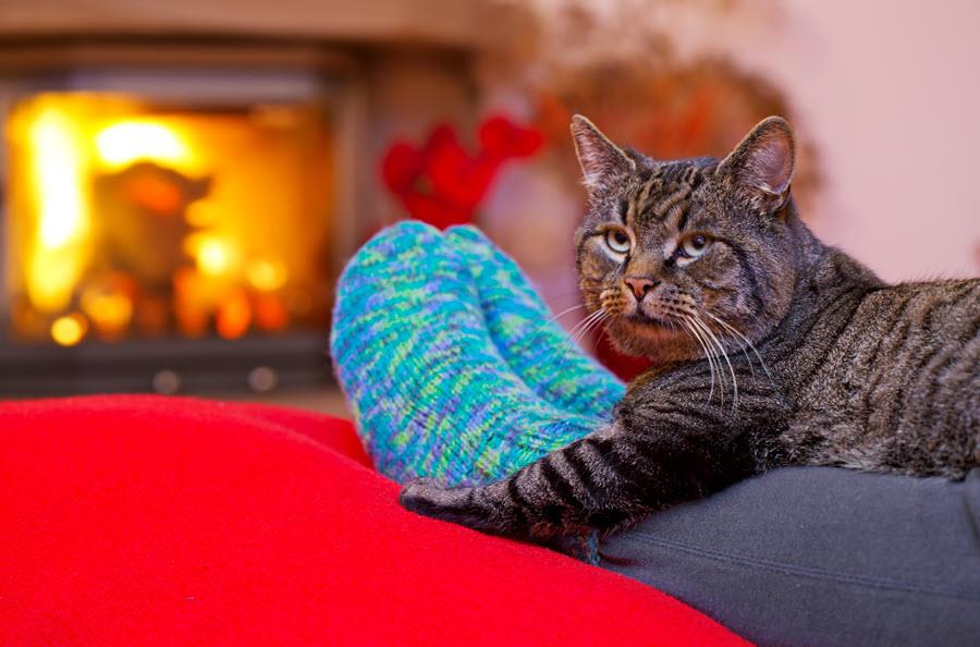 Brown tabby cat cuddles owner's feet next to cozy fireplace.