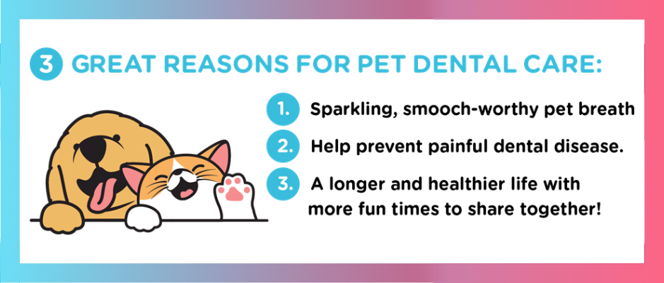 3 Great Reasons for Pet Dental Care graphic: Sparkling breath, prevent painful dental disease, extend life.
