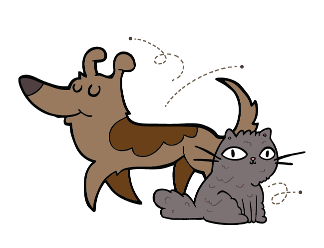 Cute brown dog and gray cat cartoon with bug bouncing off
