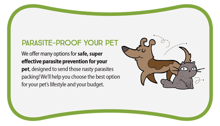 Parasite-proof your pet graphic