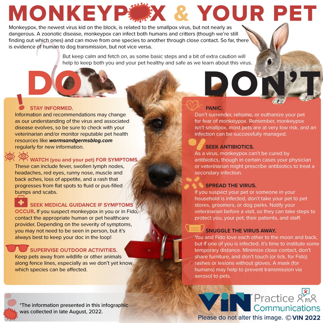 Infographic: Monkeypox & Your Pet Do's and Don'ts
