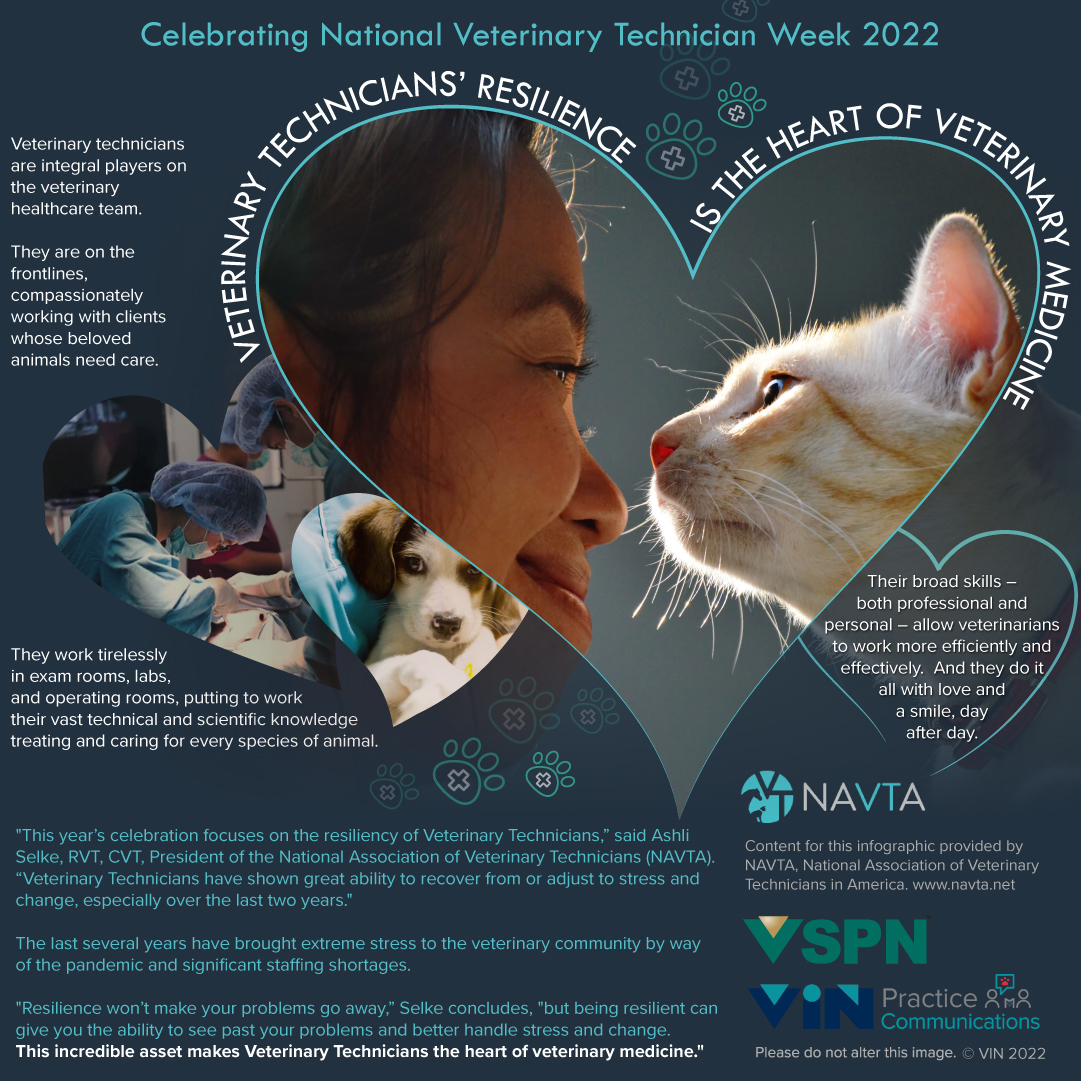 Infographic: Veterinary Technicians' Resilience is the Heart of Veterinary Medicine