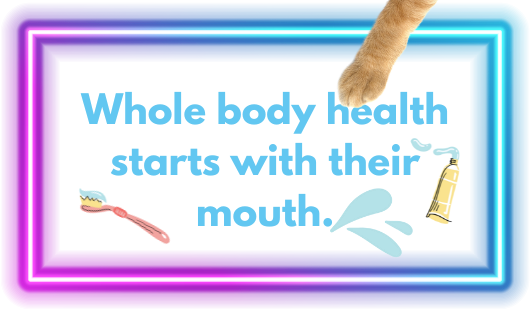 Whole body health starts with their mouth graphic.