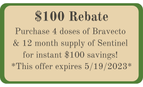 $100 Rebate - Bravecto